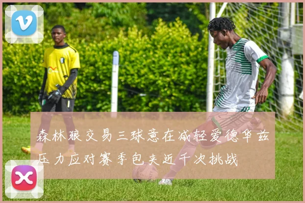 森林狼交易三球意在减轻爱德华兹压力应对赛季包夹近千次挑战